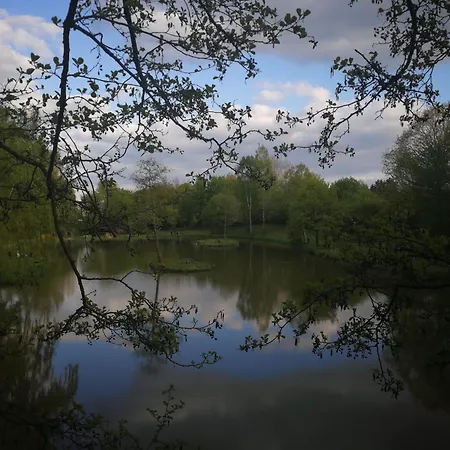 Luxury tent Weddeloase *