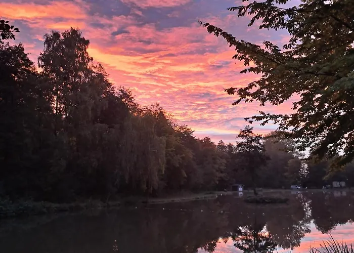 Weddeloase * Medebach